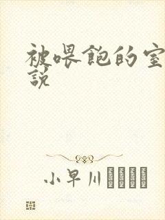 被喂饱的室友小说封面