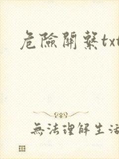 危险关系txt封面