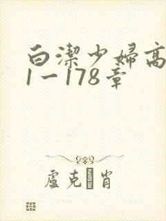 白洁少妇高义第1一178章