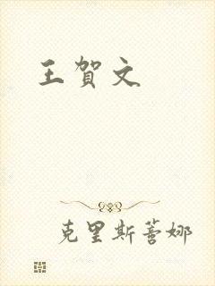 王贺文