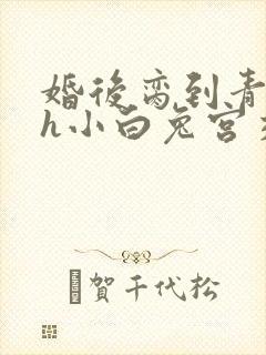 婚后脔到青梅哭h小白兔宫交h