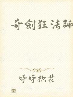 奇剑狂法师封面