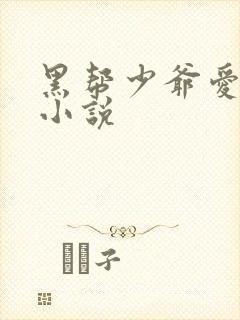 黑帮少爷爱上我小说封面