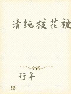 清纯校花被c封面