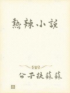热辣小说