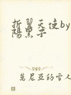 折翼天使by太阳黑子封面