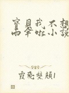 宝贝我不想带小雨伞啦小说