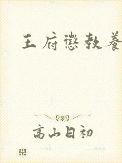 王府惩教养日常