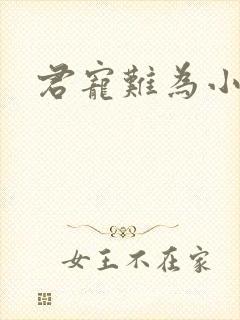 君宠难为小说