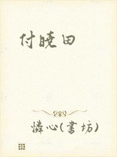 付晓田
