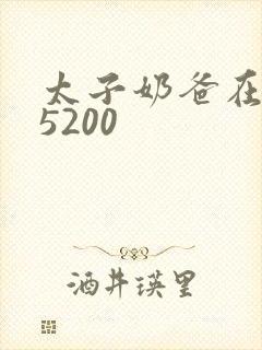 太子奶爸在花都5200