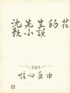 沈先生的花式管教小说