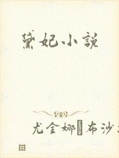 黛妃小说