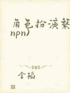 角色扮演系统(npn)