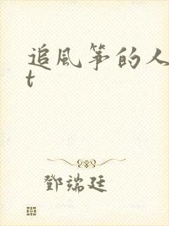 追风筝的人txt封面