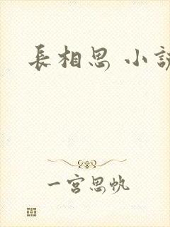 长相思 小说