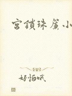 宫锁珠帘小说封面