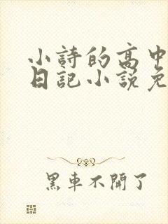 小诗的高中成长日记小说免费阅读封面