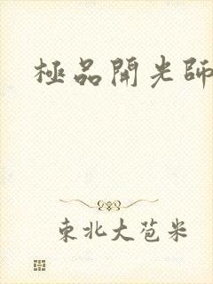 极品开光师