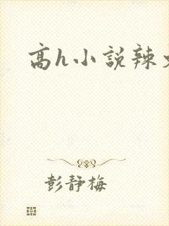 高h小说辣文