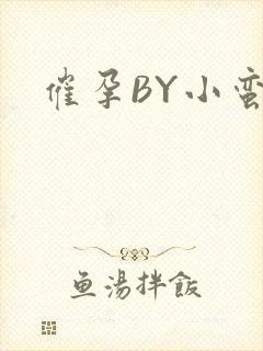 催孕BY小蛮腰