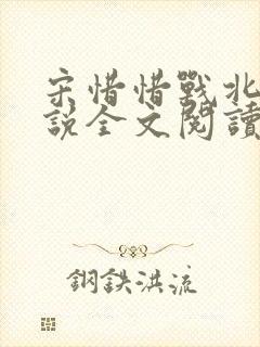 宋惜惜战北望小说全文阅读