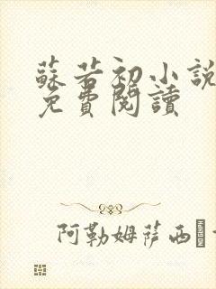 苏若初小说全文免费阅读
