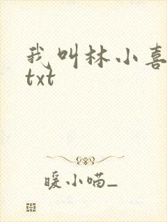 我叫林小喜小说txt