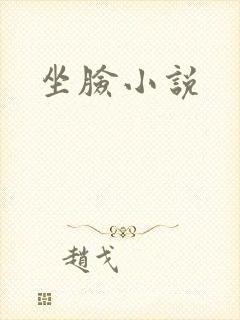 坐脸小说封面