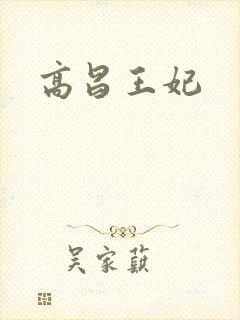 高昌王妃封面