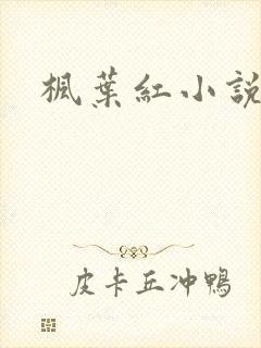 枫叶红小说