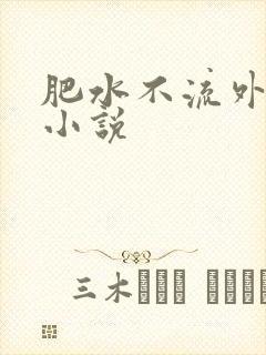 肥水不流外人田小说