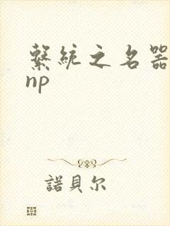 系统之名器攻略np