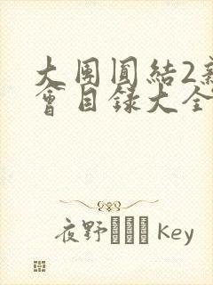 大团圆结2亲情会目录大全免费阅读封面