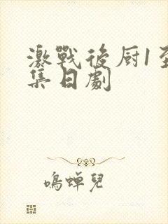激战后厨1至5集日剧