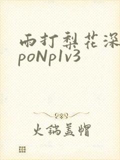 雨打梨花深闭门poNp1v3封面