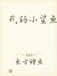 我的小鲨鱼封面