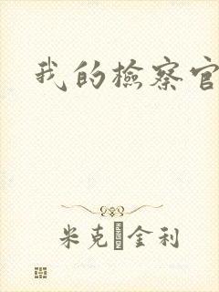 我的检察官先生封面