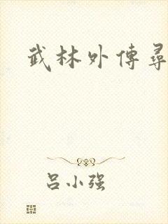 武林外传寻宝封面