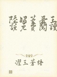 陆昭菱晋王的小说免费阅读