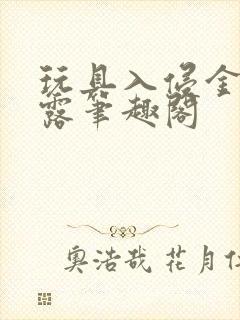 玩具入侵金银花露笔趣阁