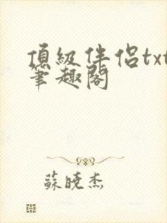 顶级伴侣txt笔趣阁
