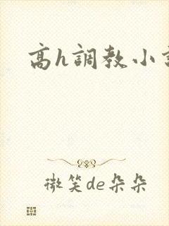 高h调教小说