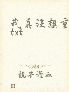 我真没想重生啊txt封面