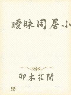 暧昧同居小说封面