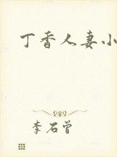 丁香人妻小说封面