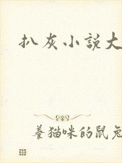 扒灰小说大全