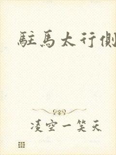 驻马太行侧