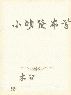 小明发布首页