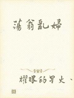 荡翁乱妇封面